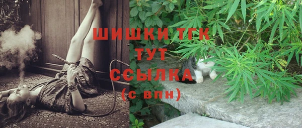 стафф Армянск