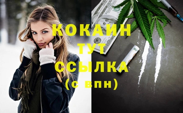 стафф Армянск