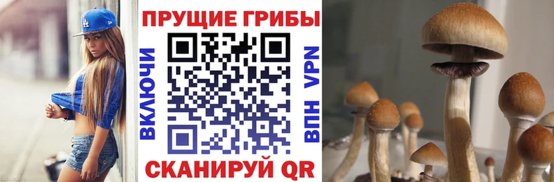 продажа наркотиков  Тетюши  OMG ONION  Галлюциногенные грибы ЛСД 